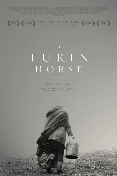 El caballo de Turín