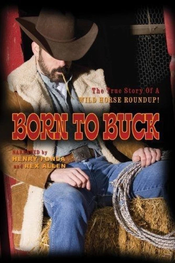 Born to Buck Póster