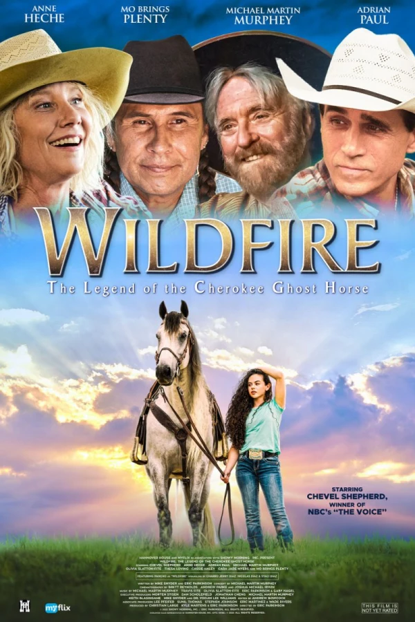 Wildfire Póster