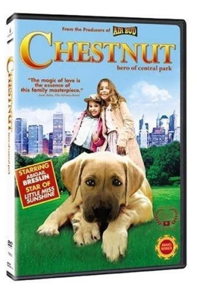 Chestnut: un perro fuera de lo común