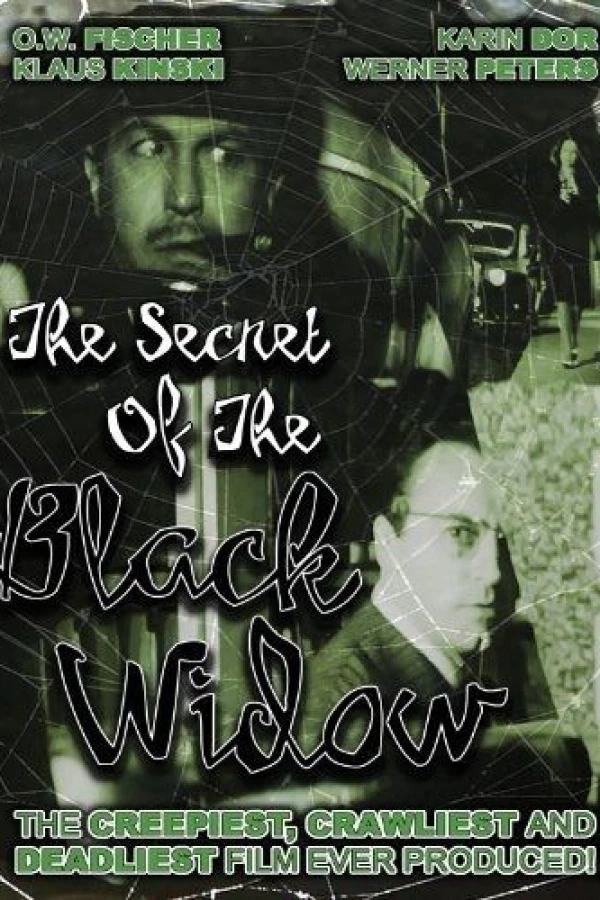 Das Geheimnis der schwarzen Witwe Póster