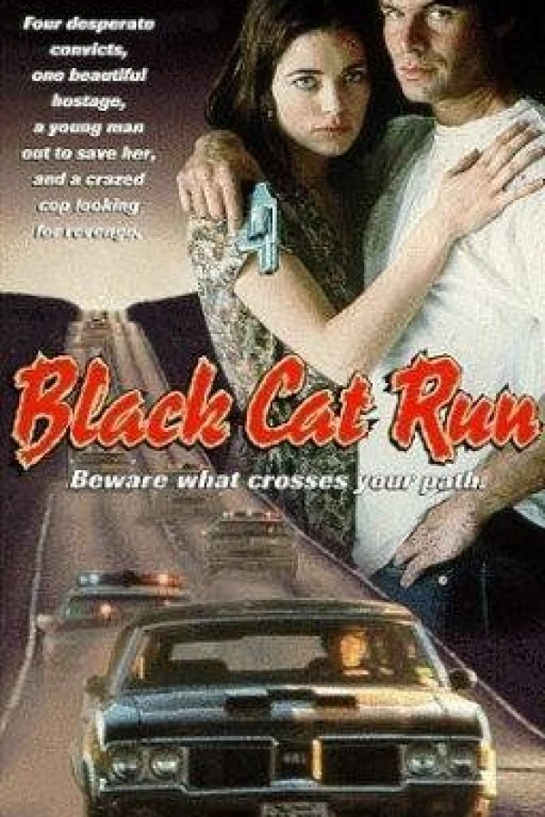 Black Cat Run Póster