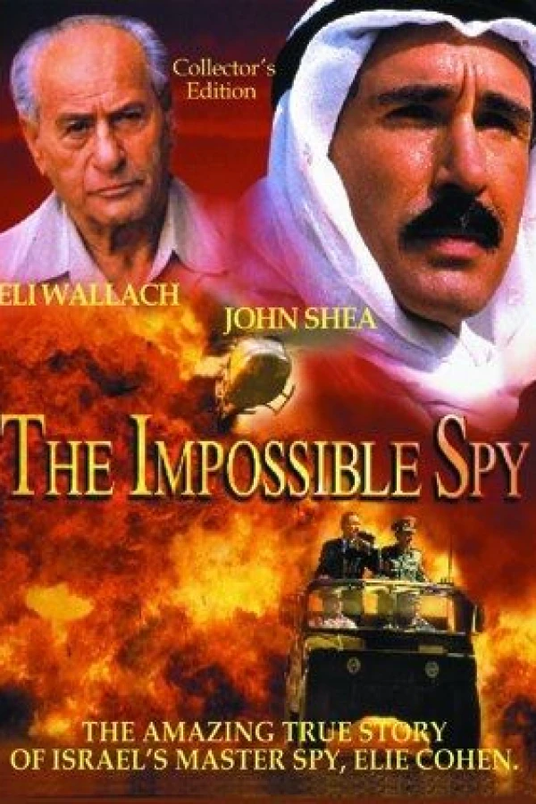 The Impossible Spy Póster