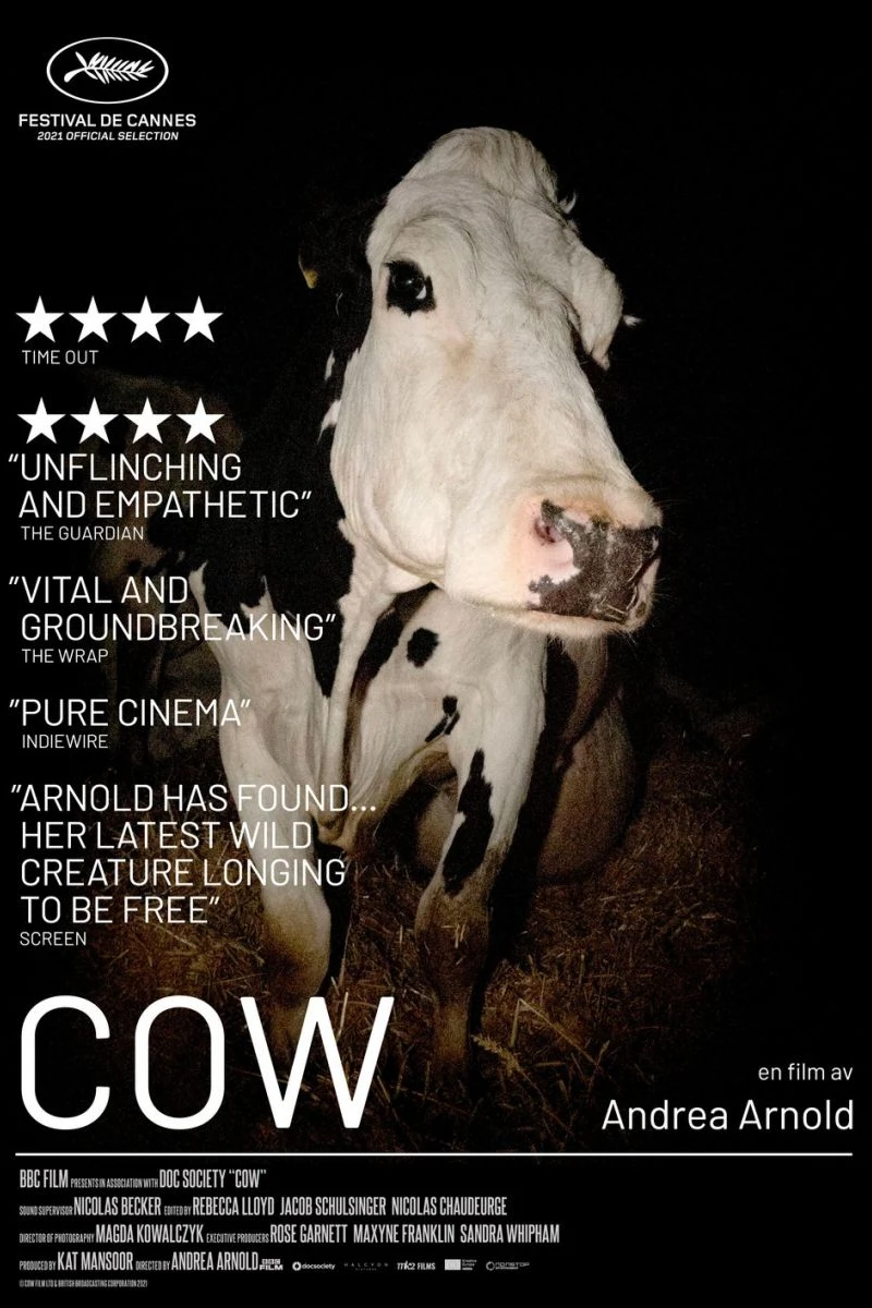 Vaca (Cow) Póster