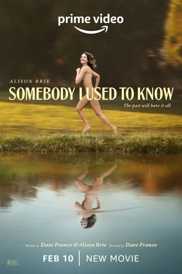 Somebody I Used to Know Póster