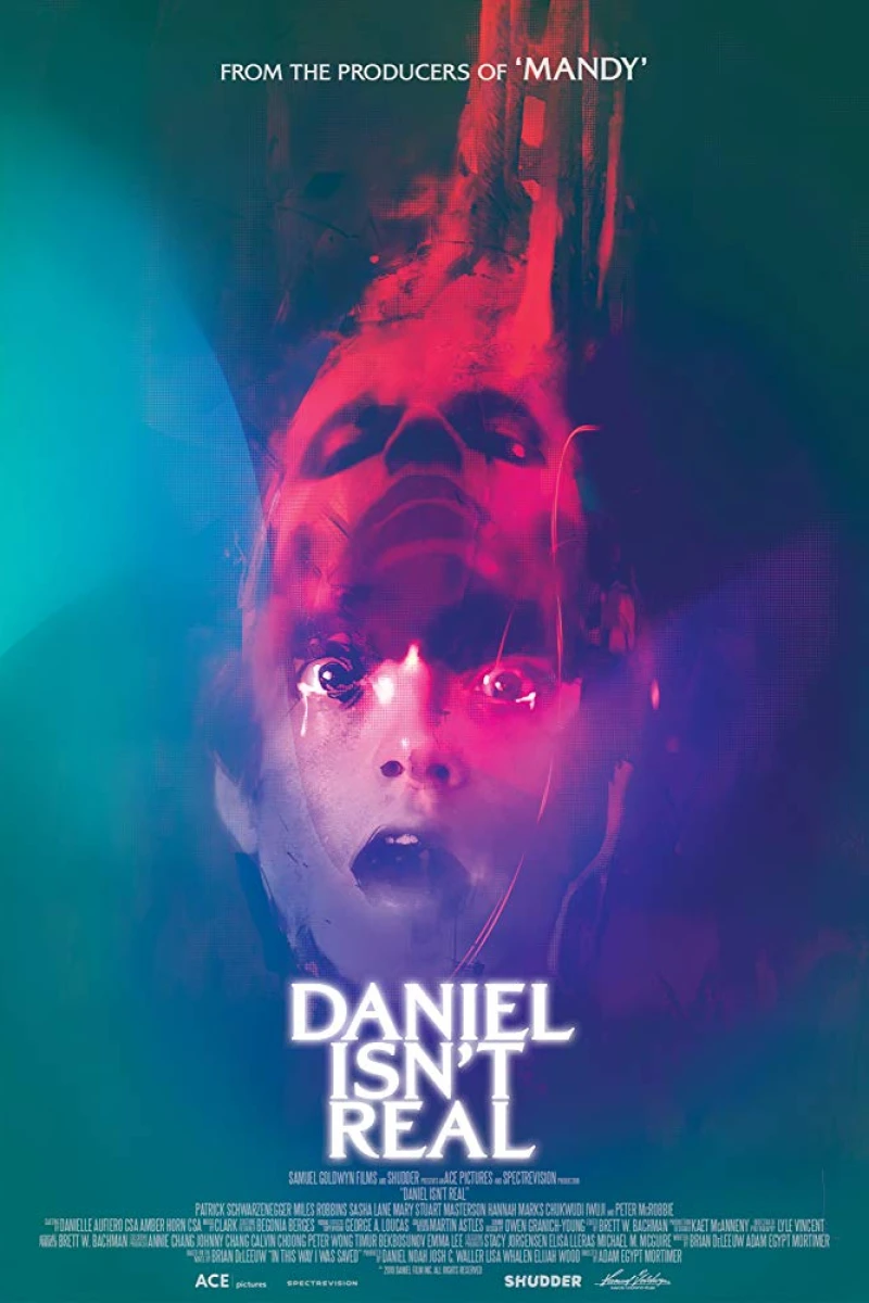 Daniel Isn't Real Póster