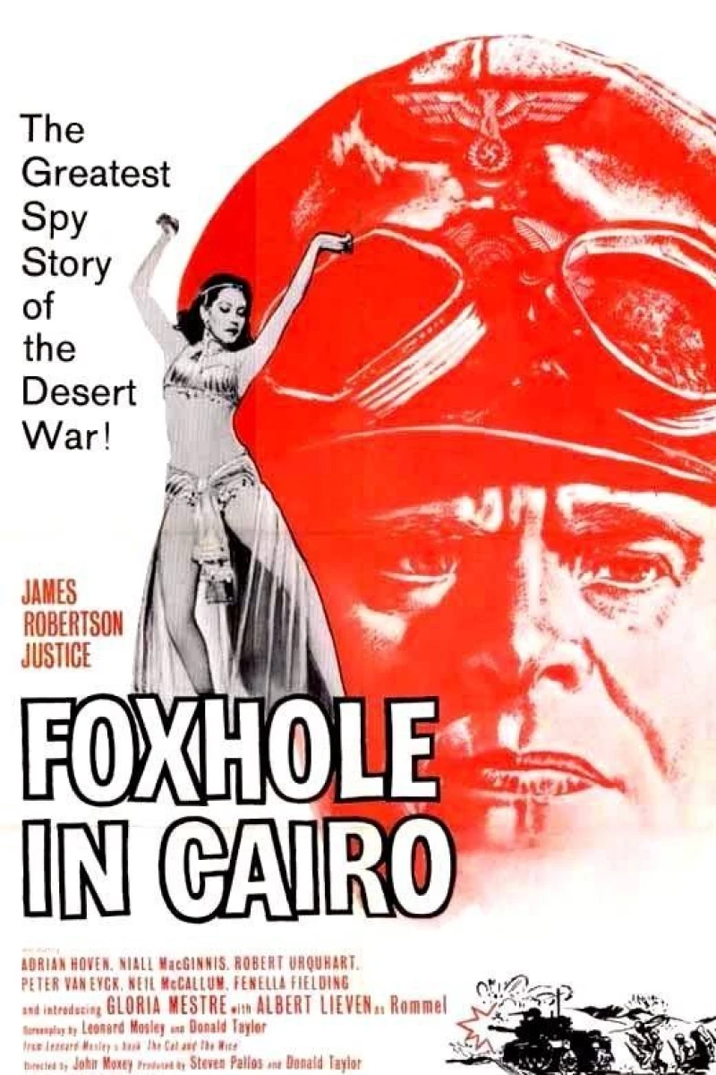 Foxhole in Cairo Póster