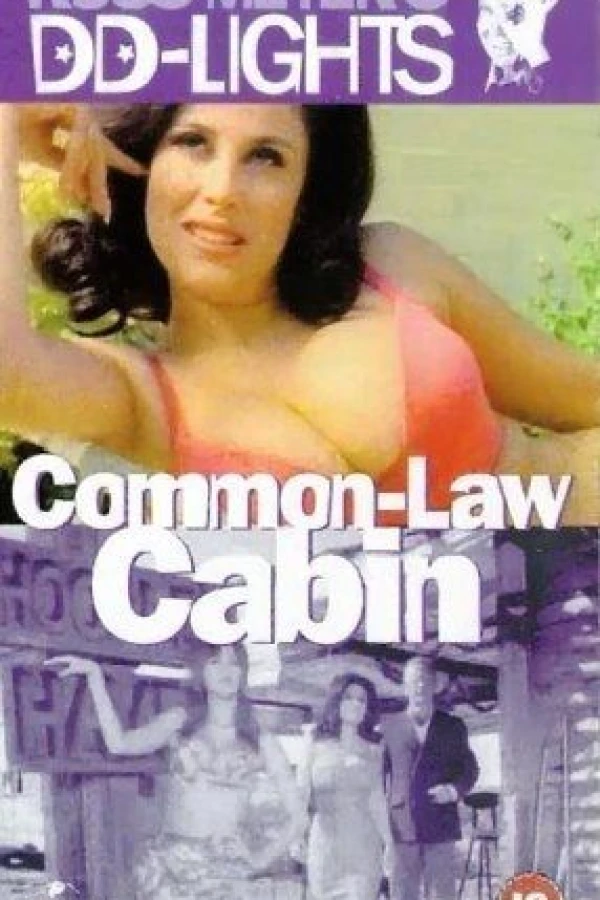 Common Law Cabin Póster