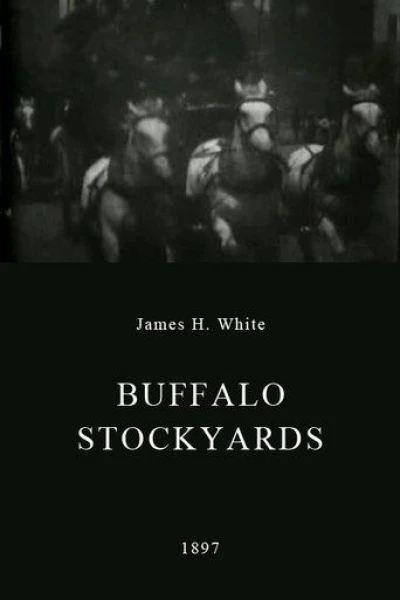 Buffalo Stockyards