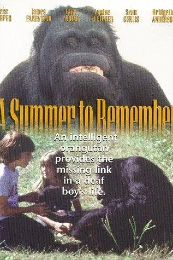 A Summer to Remember Póster