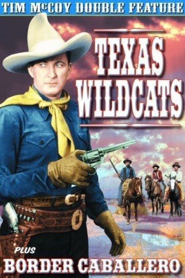 Texas Wildcats Póster